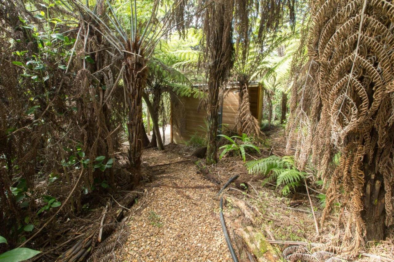 Karaka Sanctuary With Spa Pool By Waiheke Unlimited Oneroa Habitación foto